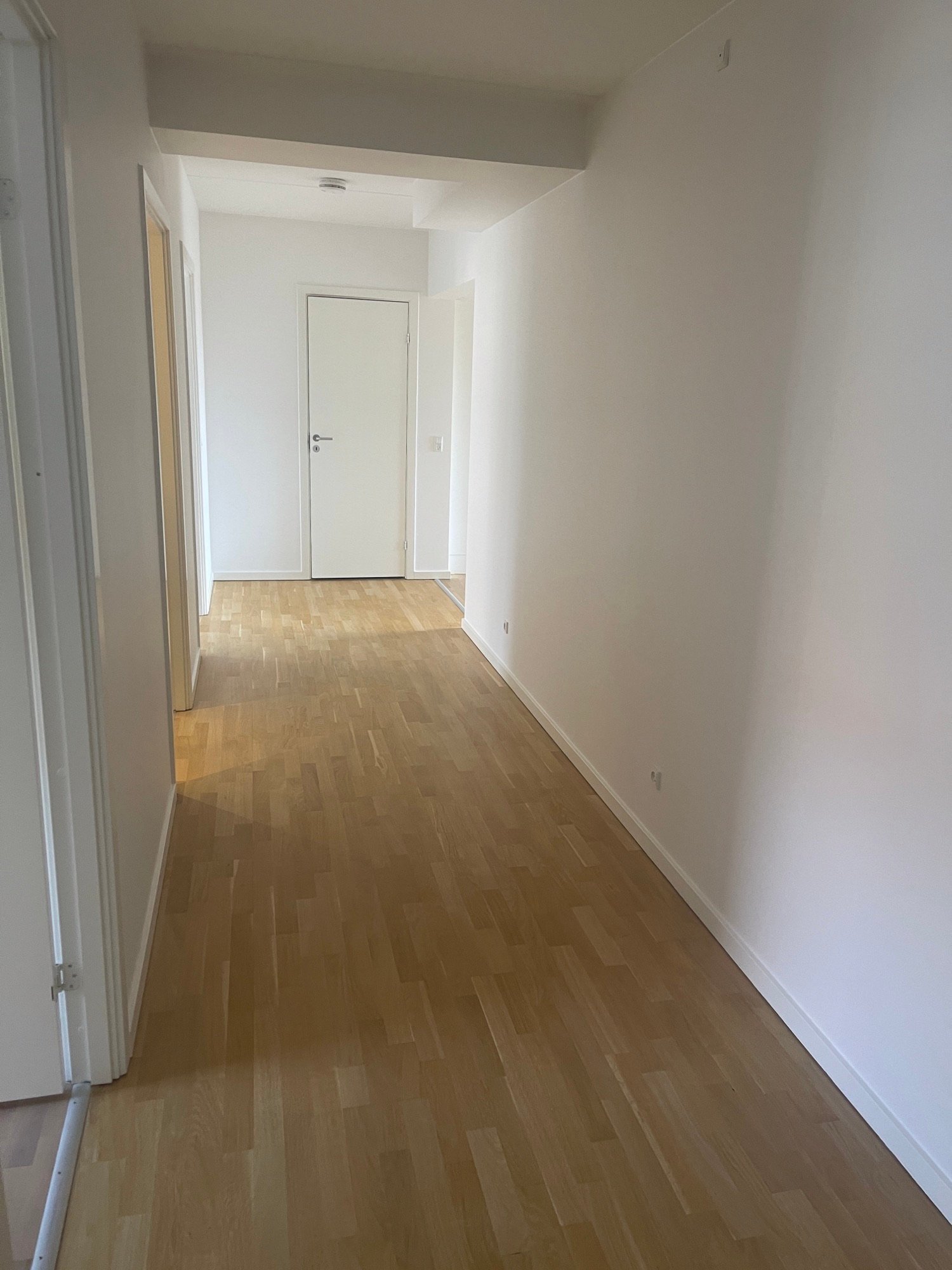 Image 3 of apartment