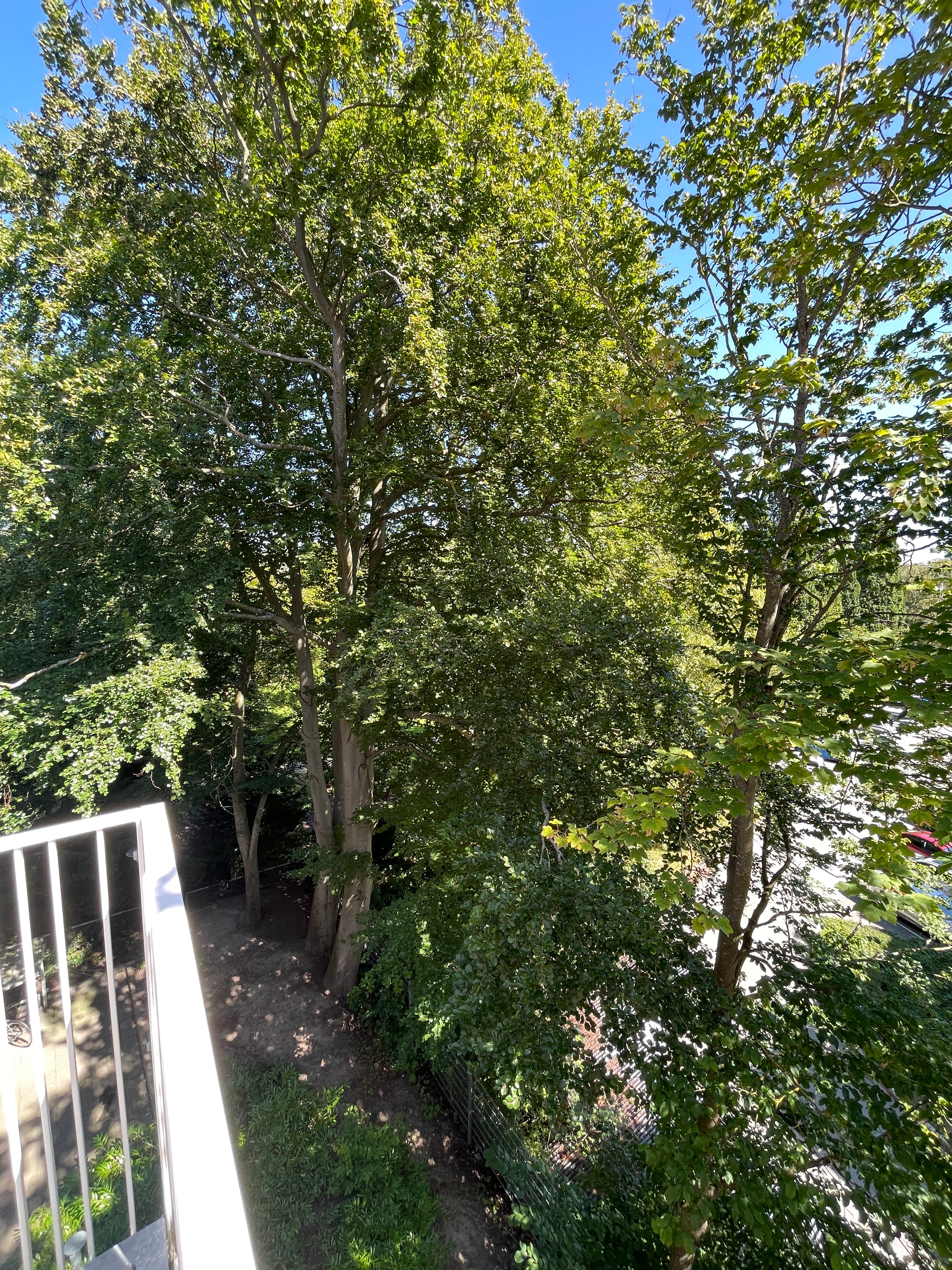 Afbeelding 12 van appartement