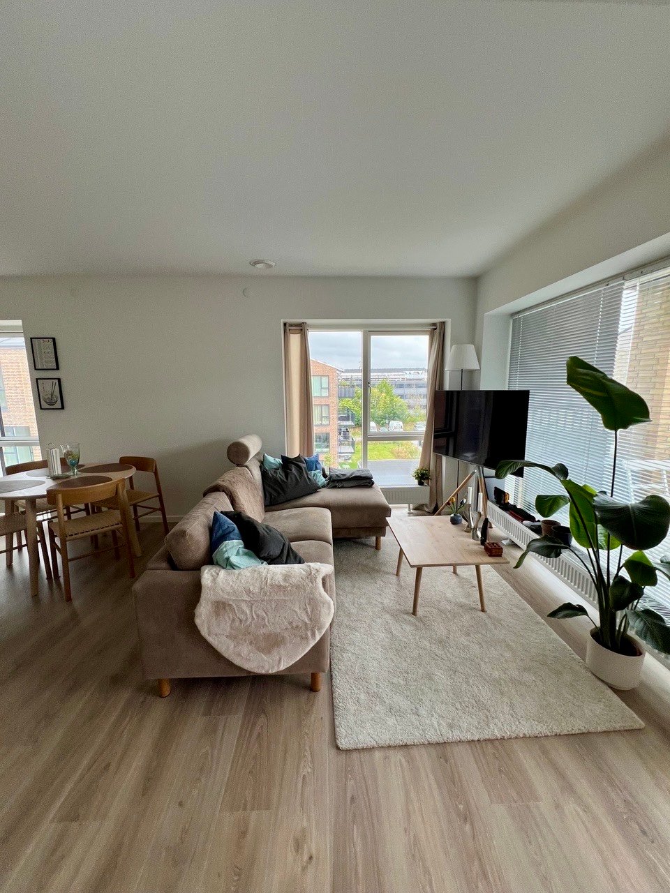Image 11 of apartment