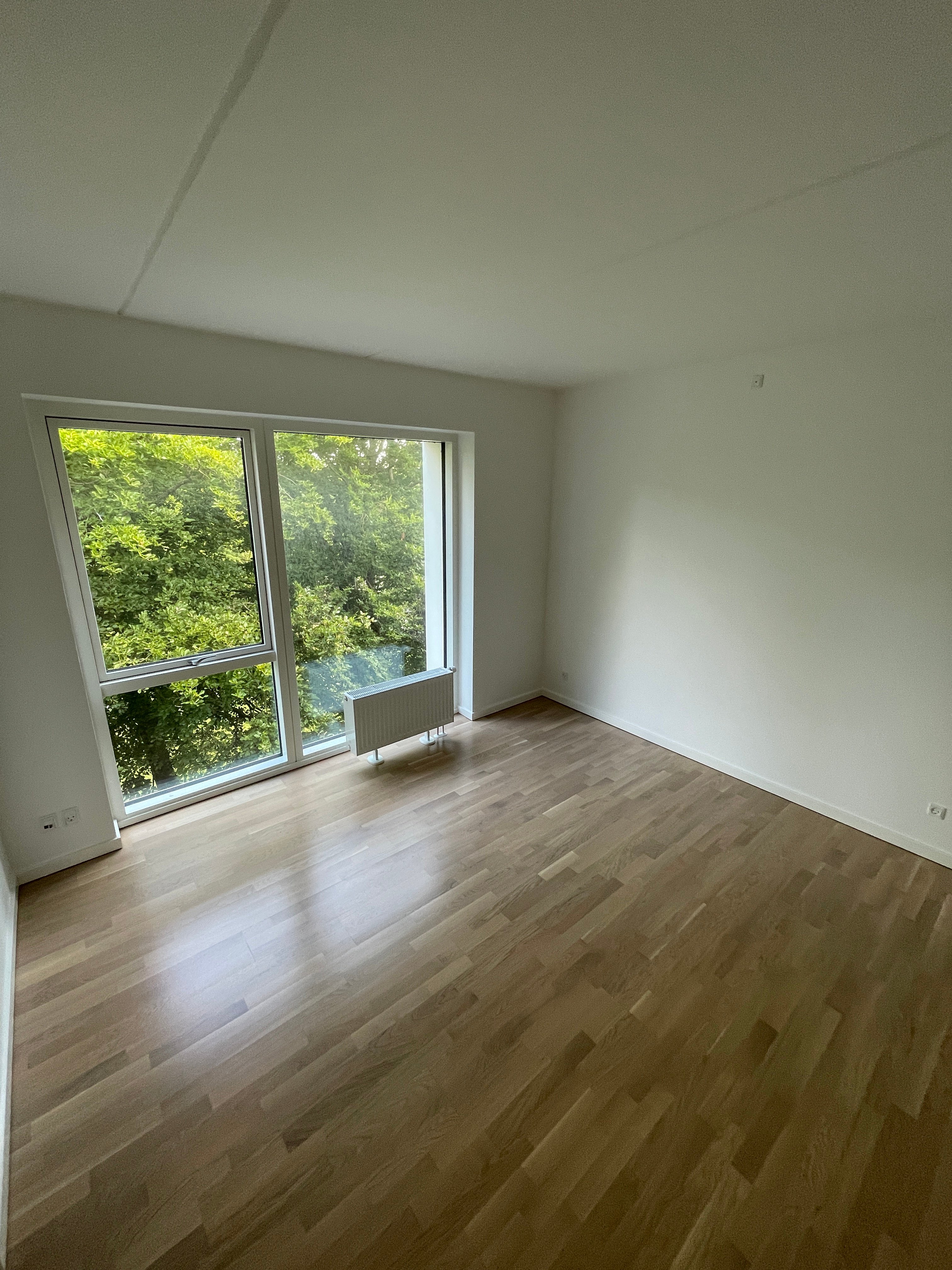 Image 4 of apartment